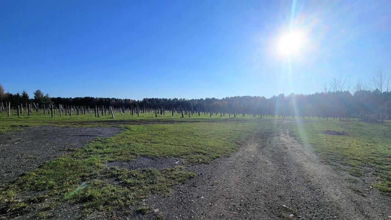 Auberge Du Vignoble Бромон Екстер'єр фото